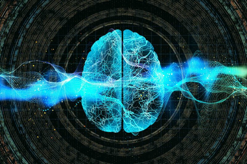 How Electric Cell Signaling Therapy (EcST) Supports Circulation & Recovery