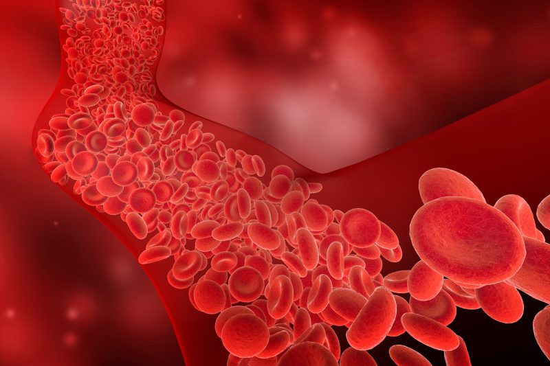 Circulatory Health & Nitric Oxide